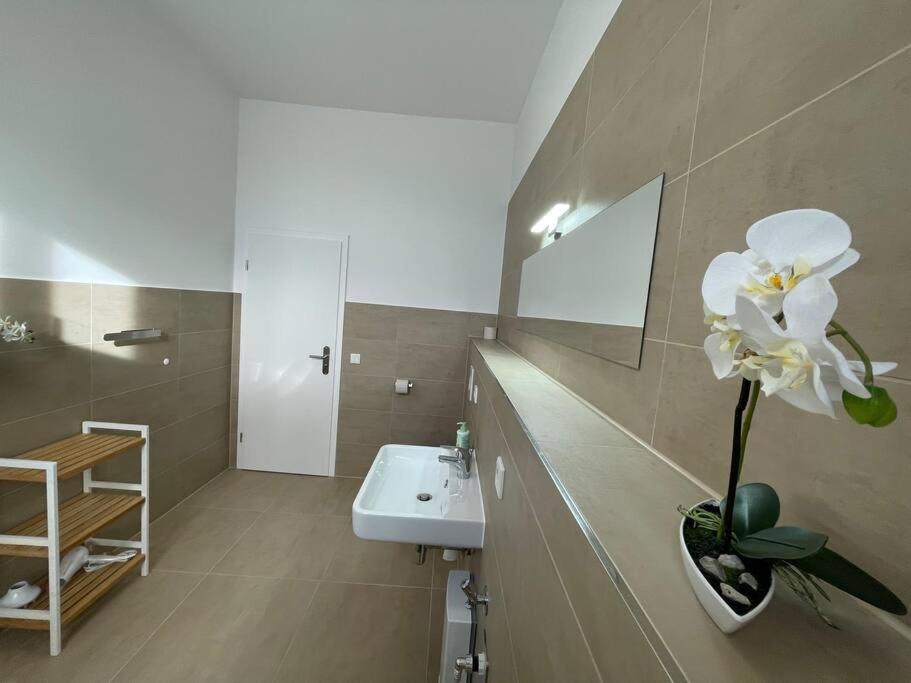 Lucky Stays Ls10 - Vollausstattung - Zentrum - Aufzug - Grosse Kueche - 2 Zimmer - Smart-Tv Maagdenburg Buitenkant foto